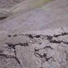 سماد دجاج بلدي