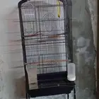 قفص للبيع