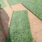 ثيل طبيعي الخرج الدرجه الاولى