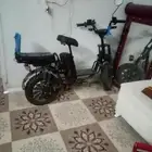 اسكوت للبيع