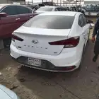 النتراء