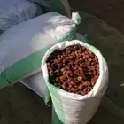 تمر علف للحلال