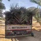 سعف جديد أخضر للعرايش والمظلات