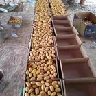 رطب سلج وسكري اسعي علا المشتري