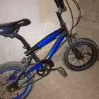 سيكل كوبرا صغير