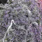 ورد طبيعي جمله وتجزئه