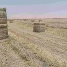 السلام عليكم ورحمه الله لفات رودس جديد المذنب