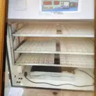 فقاسه رقم 2 اشتريتها من الرياض المحل جانب سوق الطيور وتشيل 5