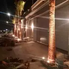 تكريب نخيل وواشنطونيا وتجهيز احواض زراعية وقطع اشجار