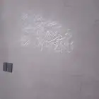 Painter in Hail
