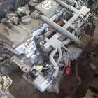 مكنية كوريلا هايبردشده بلده تشليح السعودية