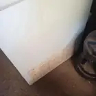 فريزل