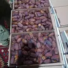 تمر مجدول