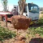 تكريب وقلع وغرز النخل والاشجار وكل شيء يخص الزراعه