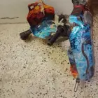 سكوتر الكهربائيه شغال شرط