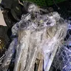 مكائن قزاز عادي كورولات2007 يارس من7الا12