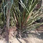 قلايه موجوده في وادي ارهاط