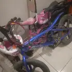 حالتهم ممتازه