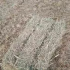 السلام عليكم ورحمه الله رودس جديد ناعم شد 85 المذنب