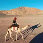 يوجد لدي طبع اشداد شرط الحاله ومع الحلا