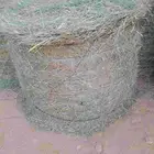السلام عليكم ورحمه الله وبركاته لفات رودس جديد تلبين اليوم