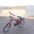 سيكل رامبو العلامه الذهبيه