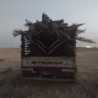 سعف نخل جديد للعرايش والمظلات