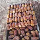 يوجد رطب صقعي ومبروم صقعي درجه الولا