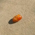 حجر عقيق