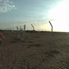 شبوك مزارع واراضي