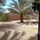 اعمل جميع اشكال النخيل تخليش النخل تلقيح وتشويه وتعديل