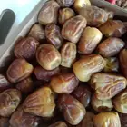 رطب سكري