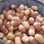 ما شاء الله تبارك الله هذا التمر مخروطه نحن نشتغل في اي مكان