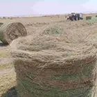 السلام عليكم ورحمه الله لفات رودس المذنب جديد ناعم طيب
