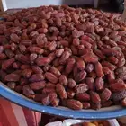 تبوك