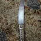 الحنجره ابو تمساح
