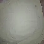 بودرة لقاح نخيل