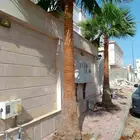تكريب نخيل وواشنطونيا وتجهيز احواض زراعية وقطع اشجار