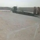 لوبد في المدينة النمور عل القصيم او ارياض