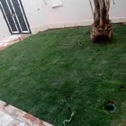 ابواحمد الصعيدي لتنسيق الحدائق زراعة تيل وجميع انواع الشجيرا