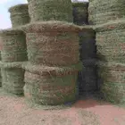 السلام عليكم ورحمه الله لفات رودس جديد ناعم طيب