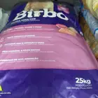 أكل قطط
