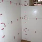 مبلط باكستاني رياض