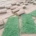 ثيل طبيعي الخرج الدرجه الاولى