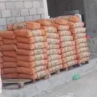 ابحر الشماليه. جده