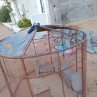 شبك حمام نجران