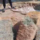 السلام عليكم ورحمه الله رودس الشد 95 متر المذنب