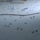 مبلط سيراميك رخام