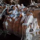 جربكس اكسنت 2017