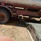 دجاج مشروك ابونه وحد العديد 48 الموقع بغعاء